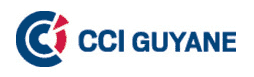 logo-cci-guyane