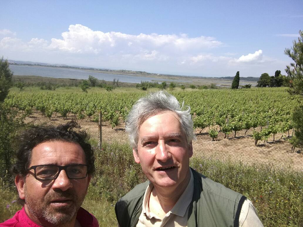 Reconnaissance d’une partie du tracé de la Route Bleue du Sel et des Pêcheurs, sur l’île Saint-Martin (Gruissan)