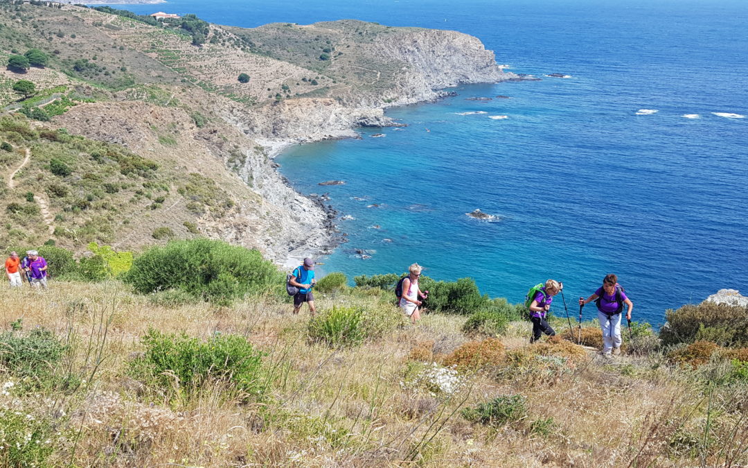 Repérage du circuit de la Route Bleue des Contrebandiers, Marins-pêcheurs et Vignerons, à Banyuls-sur-Mer