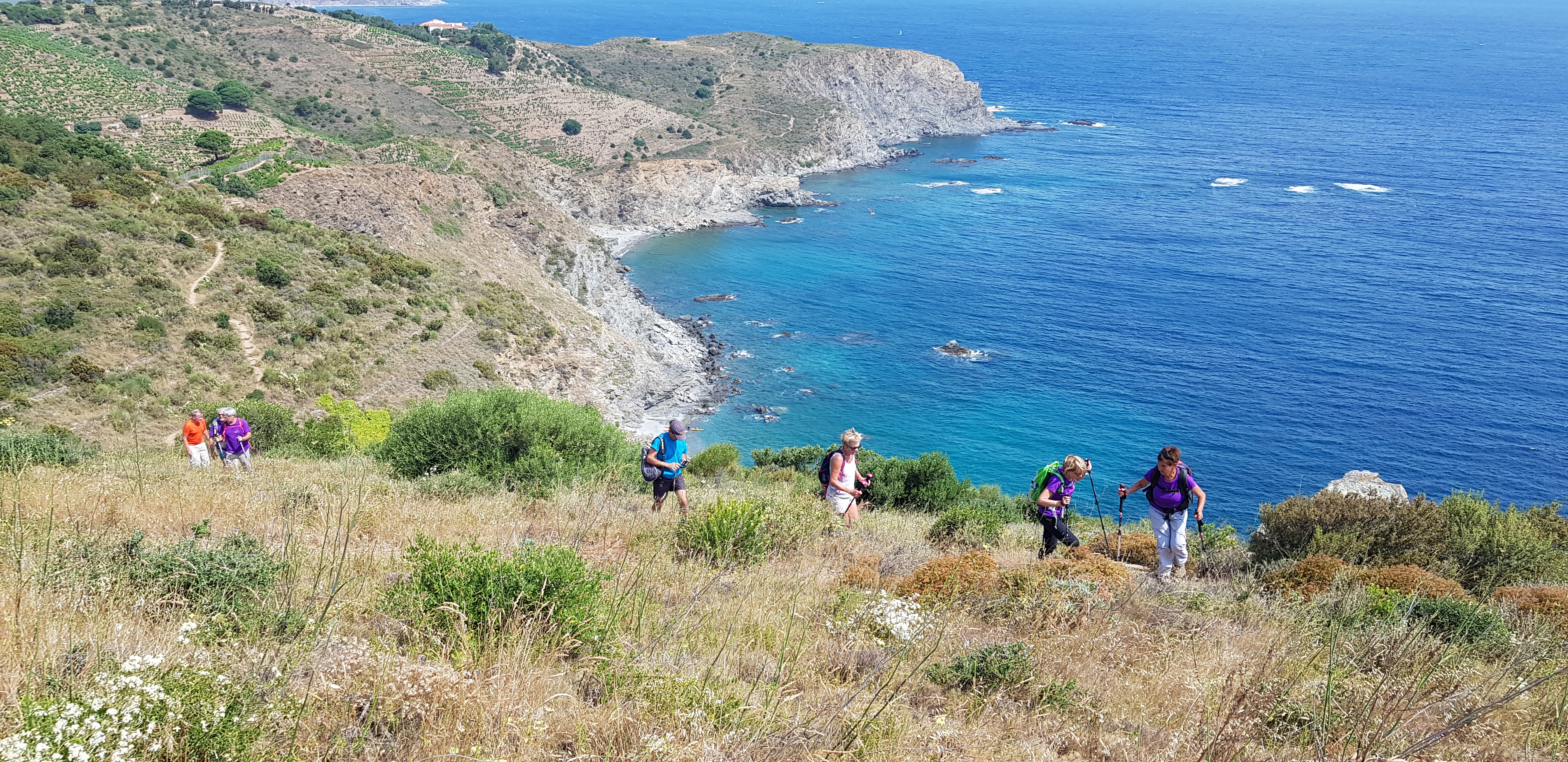 Repérage du circuit de la Route Bleue des Contrebandiers, Marins-pêcheurs et Vignerons, à Banyuls-sur-Mer