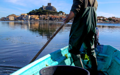 Soirée des Pêcheurs à Gruissan, dans le cadre de la Route Bleue du Sel et des Pêcheurs®