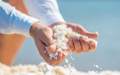 Une belle 1ère édition du Week-end gourmand de la Route Bleue du Sel et des Pêcheurs®