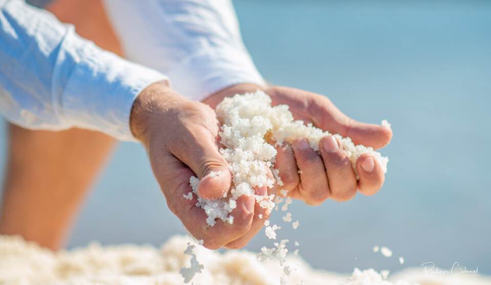 Une belle 1ère édition du Week-end gourmand de la Route Bleue du Sel et des Pêcheurs®