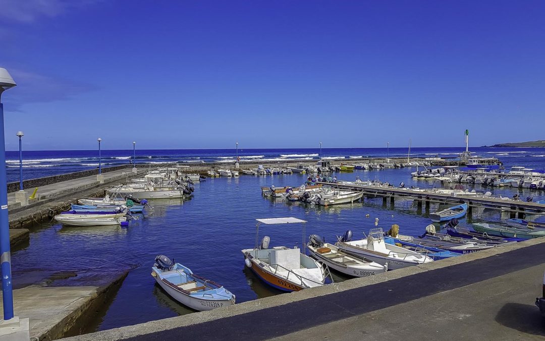 Travail sur une montée en gamme des ports de plaisance du Territoire de la Côte Ouest (La Réunion)