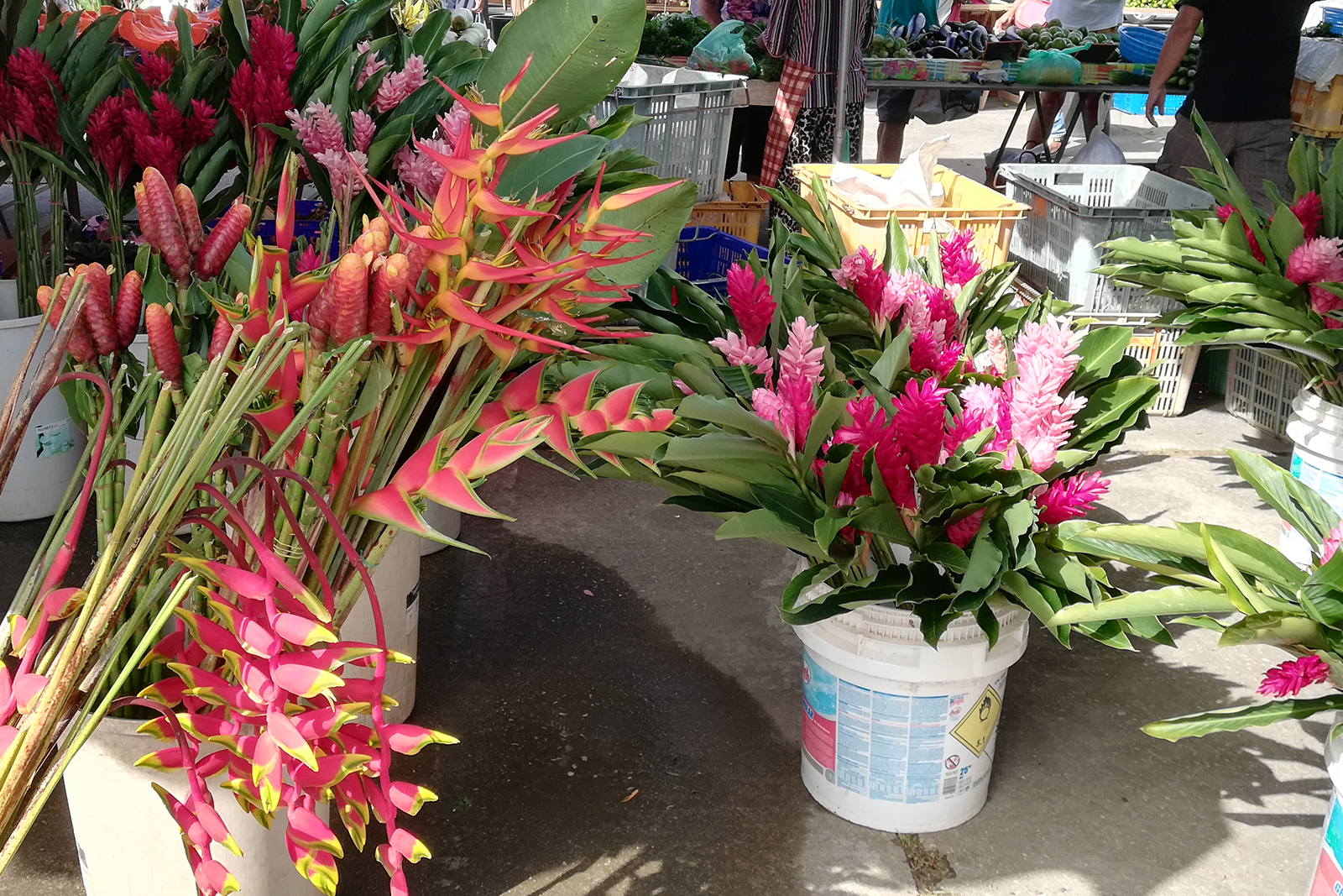 fleurs
