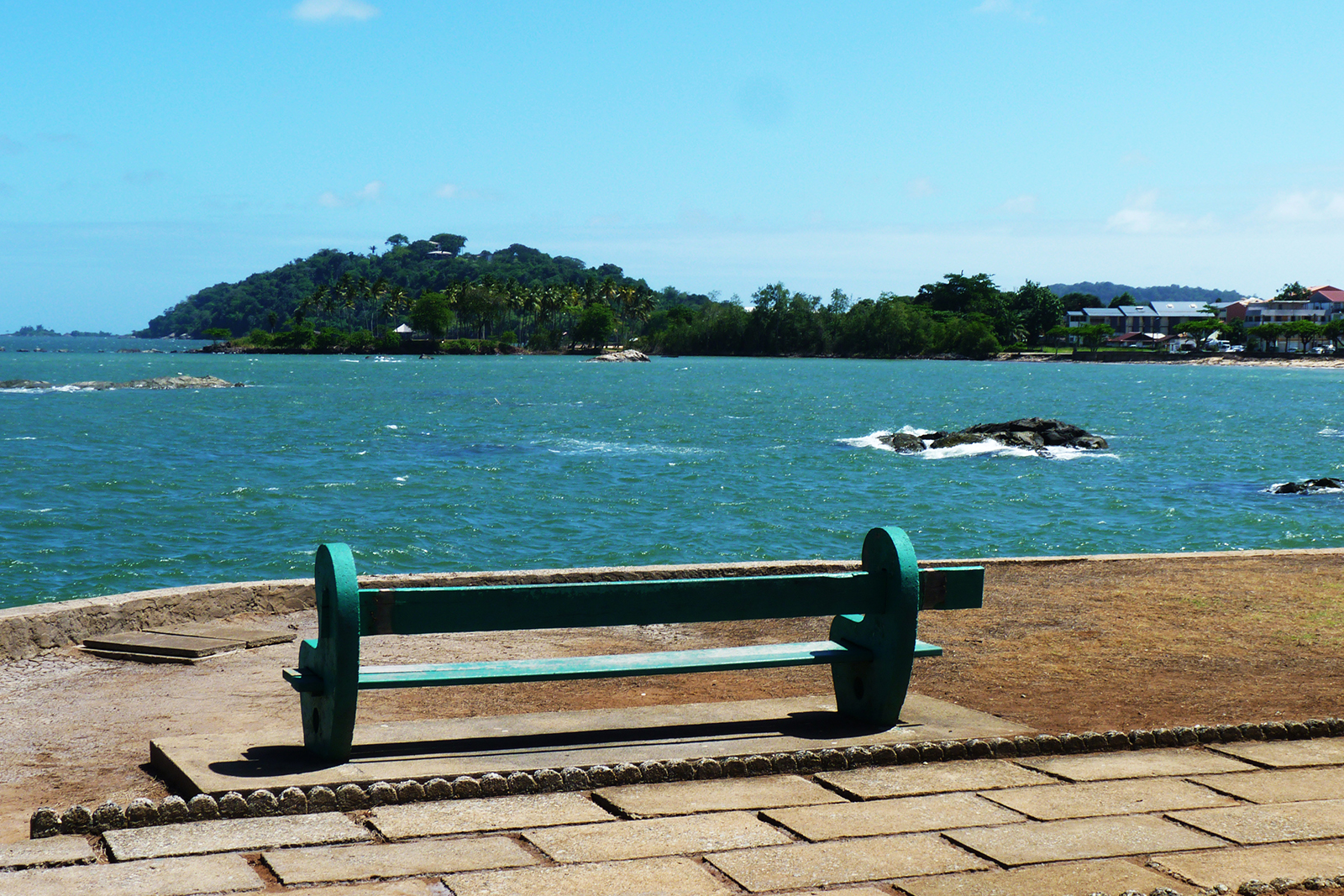 place-amandiers Bateaux sur le SInnamary