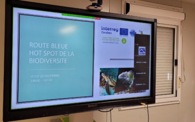 Biodiversité au programme du Comité scientifique sur la thématique « Hotspots de la biodiversité mer & terre »