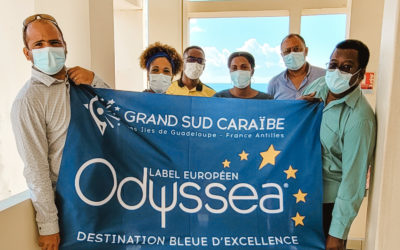 Premier Comité de Pilotage Odyssea Grand Sud Caraïbe sur la mise en tourisme bleue durable de la destination