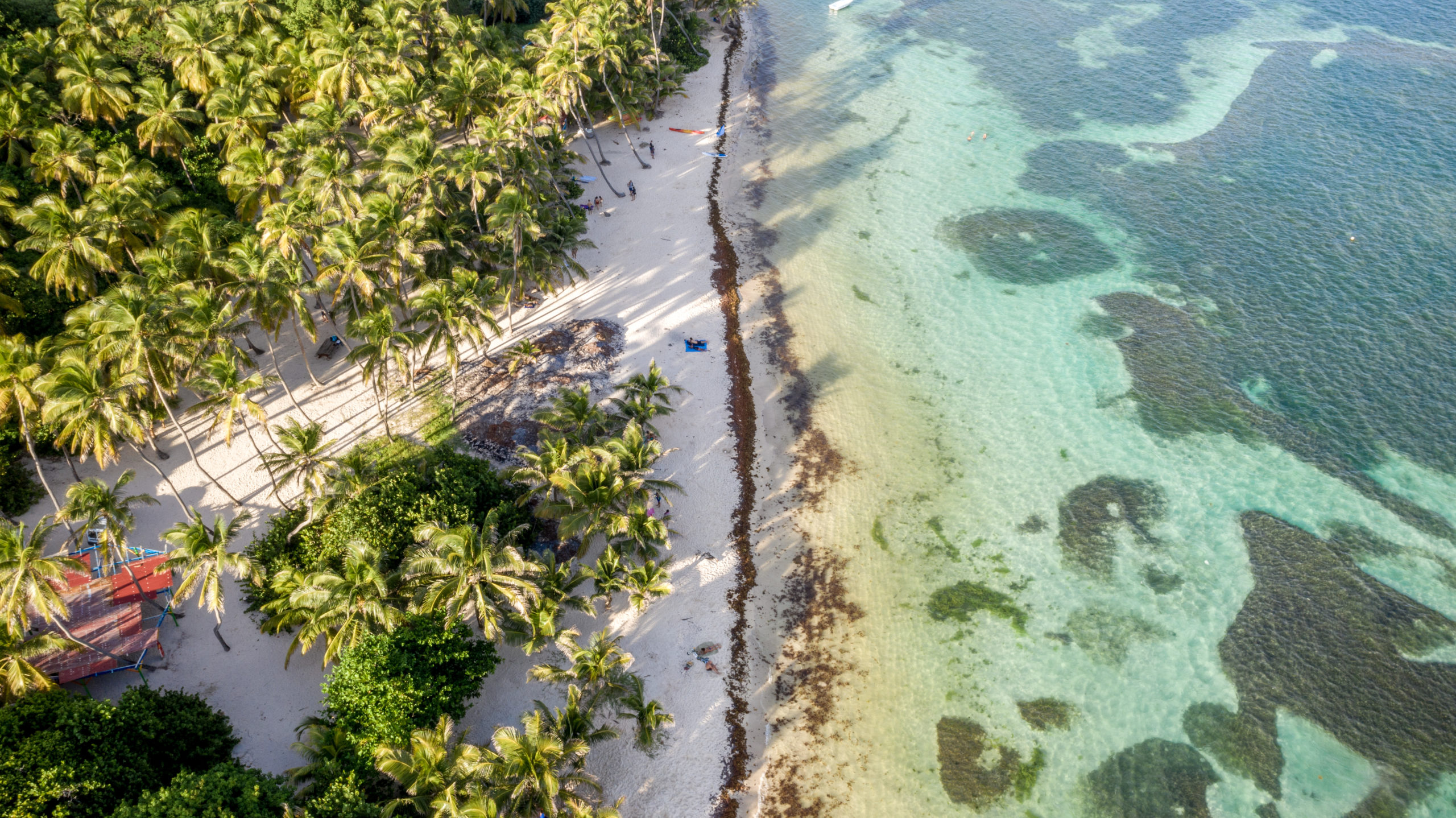 Conférence de presse à 11h30 (heure Martinique), ce vendredi 18 décembre 2020, à Rivière-Salée, à l’Espace Sud Martinique – salle de réunion