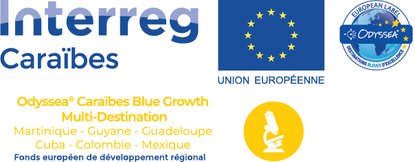 logo-BG-odyssea-vecto