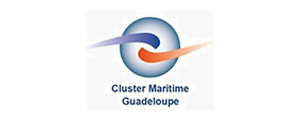 cluster-mart-guadeloupe