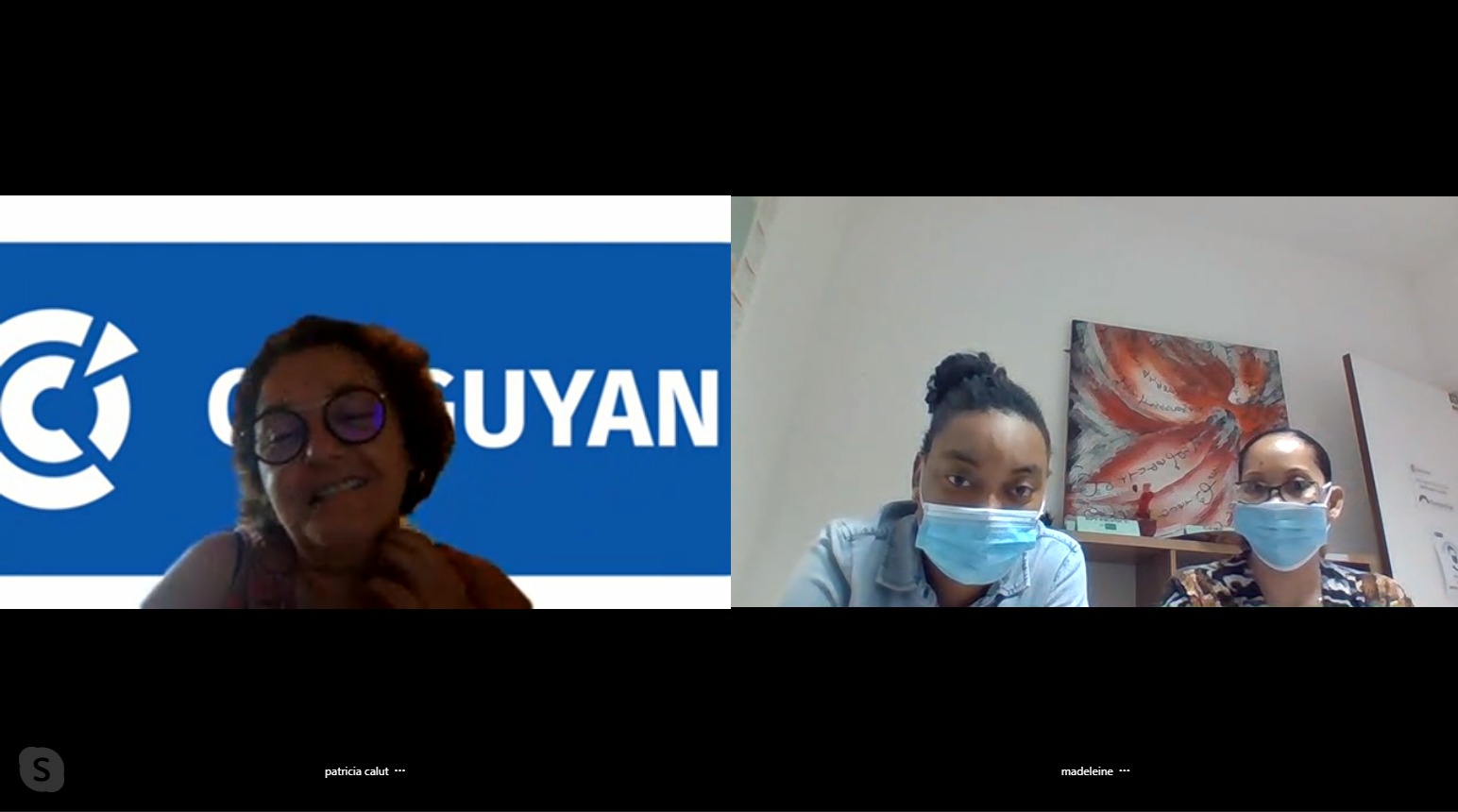 Formation de la CCI Guyane sur le logiciel exclusif du Pôle Territorial de Coopération Economique Durable Odyssea, pour l’intégration des entreprises de l’économie bleue et verte