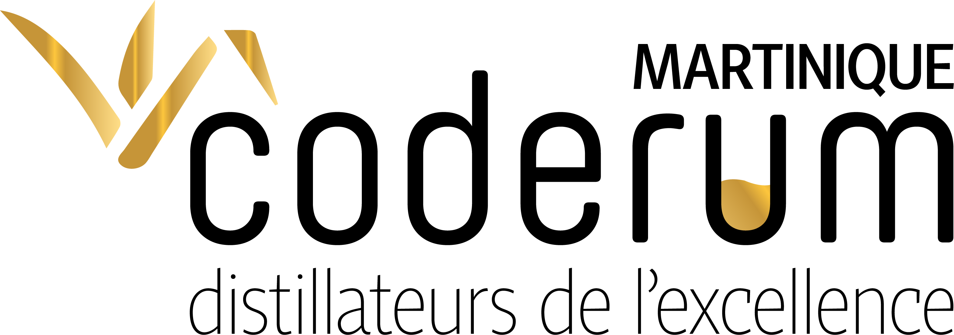 coderum_logo_3_HD