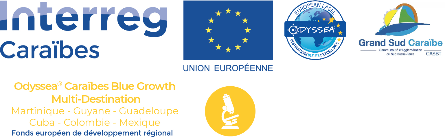 logo-BG-odyssea-GAGSC
