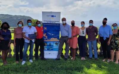 Les rhumiers du CODERUM réunis autour de la Route Bleue Mythique de la Canne à sucre au Rhum patrimoine de la Martinique vue de la Mer