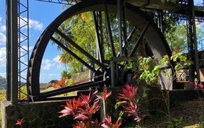 « Odyssea Blue Routes »  la Martinique, capitale mondiale du rhum aura bien sa Route Bleue Mythique®