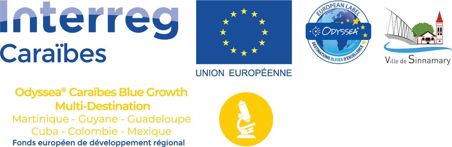 logo-BG-odyssea-vecto-sinnamary
